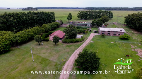 INICIO GADO TOP.00_01_28_28.Quadro022_51986789bbb373970463770e5223f060f723802e.jpg